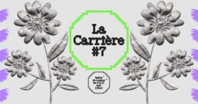 La Carrière #7: Roche, Tigre et Bashing