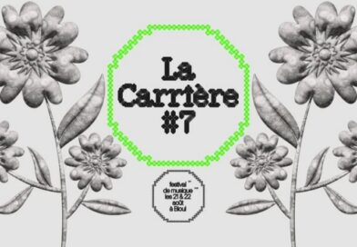 La Carrière #7: Roche, Tigre et Bashing