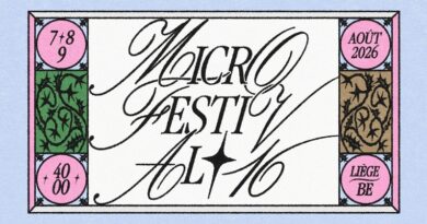 Micro Festival #16, maxi line-up